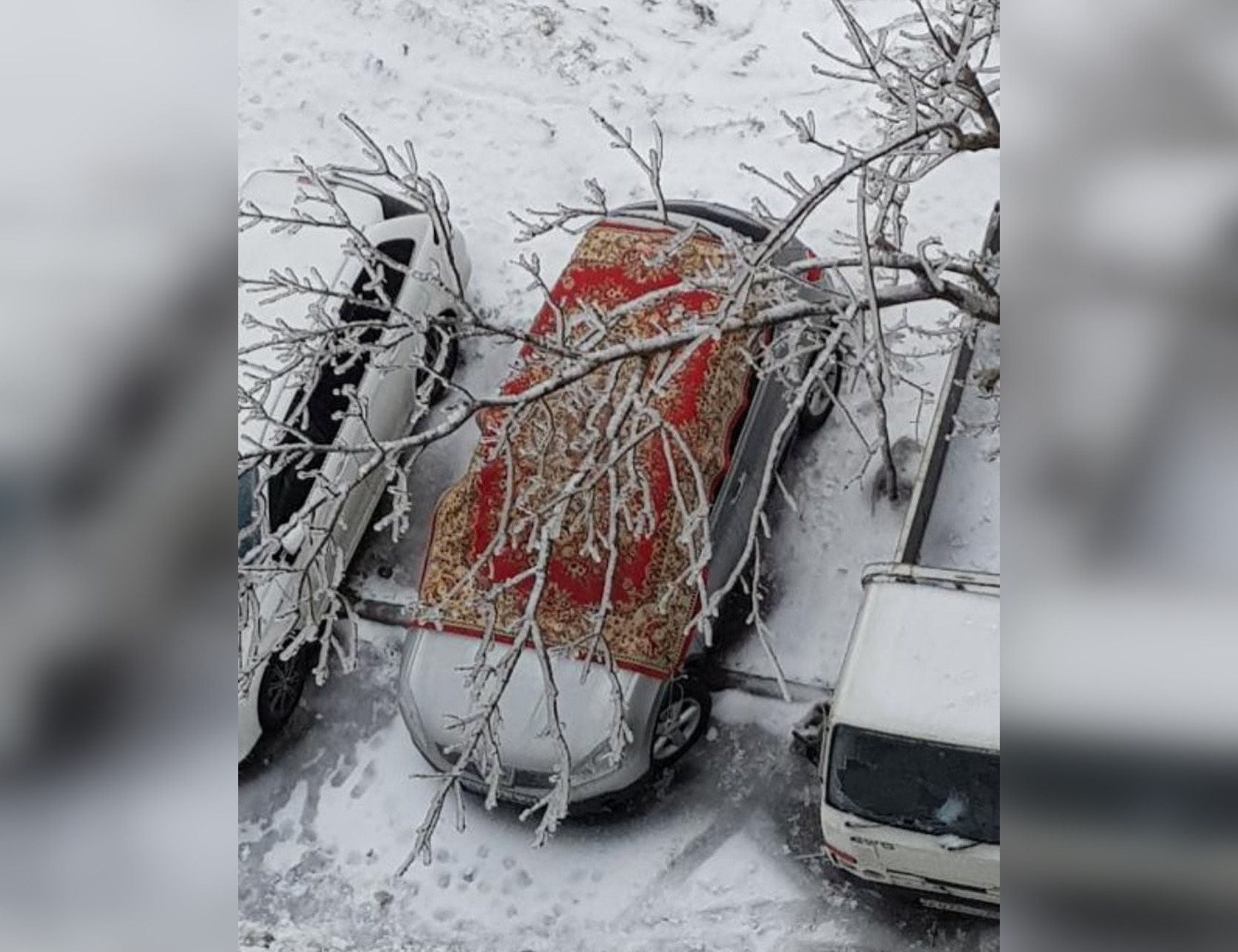 Житель Владивостока ковром попытался защитить машину от снежного циклона -  KP.RU